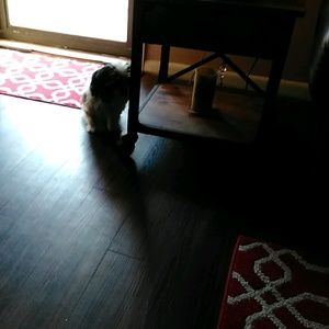 Meet your Posher, Sherry